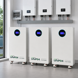 Batterie domestique intelligente Bluetooth 51,2 V 314 Ah 16 kWh, 8000+ cycles à 80 % DOD pour systèmes solaires hors réseau - Product Image 2