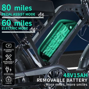 Vélo électrique à pneus larges de 20 pouces, entrepôt UE, prix du vélo électrique de 20 pouces, moteur 1000 W, batterie 15 Ah, frein hydraulique, vélo électrique rétro - Product Image 4