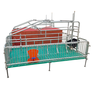 Comfortable Pig Farm <strong>Equipment</strong> Farrowing Crate and <strong>Other</strong> <strong>Animal</strong> <strong>Husbandry</strong> <strong>Equipment</strong> for Caring <strong>Animals</strong> in Relaxing Cages - Product Image 5