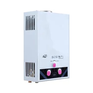 Factory Wholesale Tankless Gas Hot Instent Water Heater Caravan Low Water Pressure Start Automatic Electronic Pulse Ignition