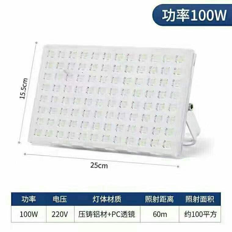 Lumière blanc fourmi 100W