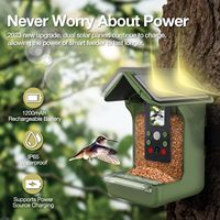 Caméra de mangeoire à oiseaux intelligente OEM ODM WiFi à énergie solaire, vidéo Full HD, reconnaissance d'oiseaux par IA avec microphone et enregistrement automatique