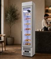 Congélateur vertical mince à refroidissement direct avec compresseur, pour la présentation de glaces et de gâteaux, avec porte vitrée et plateau en marbre