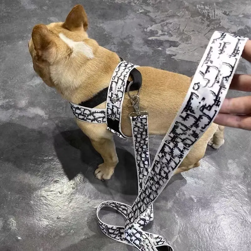 Coleira para cachorro fashion com letras d, conjunto de coleira de letras ajustável de náilon
