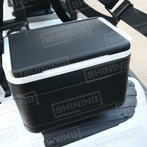 Carrito de <span class=keywords><strong>Golf</strong></span> Eléctrico Shininglsv en Venta, Carrito de <span class=keywords><strong>Golf</strong></span> Barato de 2 Plazas, Carrito de <span class=keywords><strong>Golf</strong></span> con Motor Inteligente - Product Image 5