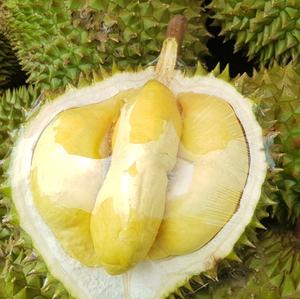Durian Orgánico Congelado, Paquete de 500g, Estilo Fresco, Variedades Vietnam Mongthong J6, Recogido Directamente de Árboles Frutales, Agricultura de Primera Calidad - Product Image 2