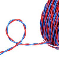 AWG 14 RVS 2*2,5mm PVC-Isoliertes Mehradriges Verdrilltes Kupferkabel - Industrielles Stromkabel