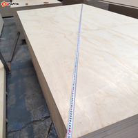 Lámina de Madera Contrachapada de Abedul Impermeable de 18 mm, 15 mm, 12 mm, 9 mm, CDX Moderno E0