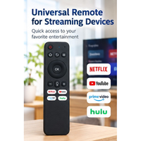 Télécommande vocale universelle intelligente noire 16 boutons connexion sans fil 2,4 GHz OEM ODM Usine Moule en plastique ABS