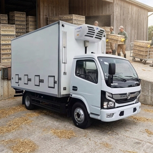 Camion de transport diesel Ay Old Chick 5 tonnes, véhicule de livraison de poussins à température constante avec caisse isotherme - Product Image 1