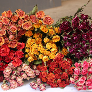 Fleurs de rose rouge séchées naturelles pour la décoration de mariage familial, décoration de fête, illustration de fleurs séchées, roses séchées - Product Image 2