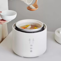 Vente flash : Mini-cuiseurs à pression de 2,5 L, cuiseurs à pression électriques pour la maison, cuiseurs à riz multifonctionnels à haute pression