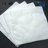 Rouleau de géotextile non tissé à longs fibres 150g-800g pour systèmes de drainage et protection des pentes