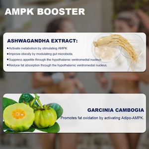 Capsules de perte de poids de qualité supérieure amincissant les capsules saines de métabolisme de supplément coupe-faim - Product Image 2