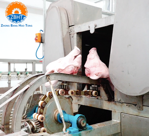 <span class=keywords><strong>Prix</strong></span> d'usine, machine automatique d'épluchage <span class=keywords><strong>de</strong></span> têtes <span class=keywords><strong>de</strong></span> <span class=keywords><strong>porc</strong></span>, équipement <span class=keywords><strong>de</strong></span> boucherie, machine d'abattage <span class=keywords><strong>de</strong></span> porcs à haute productivité - Product Image 4