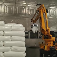 Robot de dépalettisation 3D Jiecheng 80-360 kg pour entrepôts, lignes d'emballage et centres logistiques