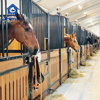 Stalle stable galvanisée de cheval d'équipement équin de haute qualité à vendre