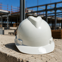 Casque de sécurité anti-poussière en HDPE personnalisable OEM pour la construction et le travail en usine