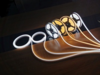 Tira de luces Led Rgb para decoración de Exteriores, tira flexible de luces de Navidad de colores, 5M/rollos