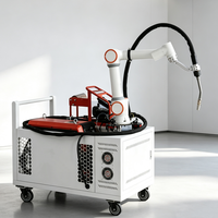 Cobot de soudage collaboratif à 6 axes, sûr pour l'homme, soudage flexible multi-angles pour le traitement des métaux