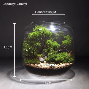 Relaxlines Home <span class=keywords><strong>Eco</strong></span> Tisch-Glasvase Landschaftsflasche Desktop-Glas-<span class=keywords><strong>Terrarium</strong></span>-Box Geometrisches <span class=keywords><strong>Terrarium</strong></span> mit Beleuchtung - Product Image 3