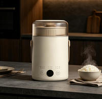 Mini cuiseur à riz portable 0,6 L 400 W, cuiseur lent électrique antiadhésif pour la maison et l'hôtel