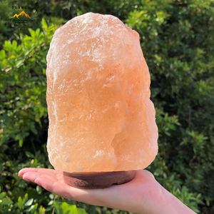 Lámpara <span class=keywords><strong>de</strong></span> <span class=keywords><strong>sal</strong></span> del Himalaya <span class=keywords><strong>de</strong></span> 7 pulgadas con cable <span class=keywords><strong>de</strong></span> atenuación-Luz nocturna Cristal natural Roca Base <span class=keywords><strong>de</strong></span> madera clásica Auténtica <span class=keywords><strong>de</strong></span> Pakistán - Product Image 5