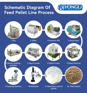 Presse à granulés d'aliments à haute efficacité, production de 1 à 10 t/h avec faible <span class=keywords><strong>consommation</strong></span> d'énergie - Product Image 3