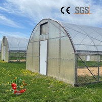 Serre tunnel agricole économique à simple travée, grande taille, en plastique, pour légumes