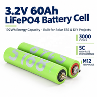 Cellule de batterie LiFePO4 cylindrique S168 M12 Terminals Solar ESS DIY 60280 3.2V 60Ah 192Wh 3000 cycles 5C