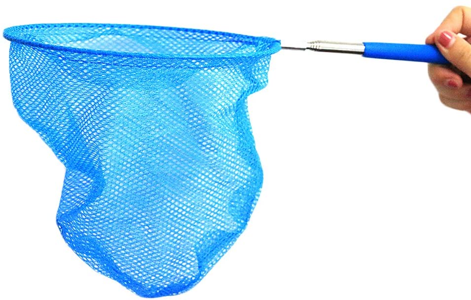 childrens telescopic fishing net Kids with Aluminum Pole Handle, Collapsible Bucket Sand Pail, Butterfly Net for Outdoor Play (Blue) : Sports & Outdoors and other creatures at your local pond Shop In-Stock Products and Accessories