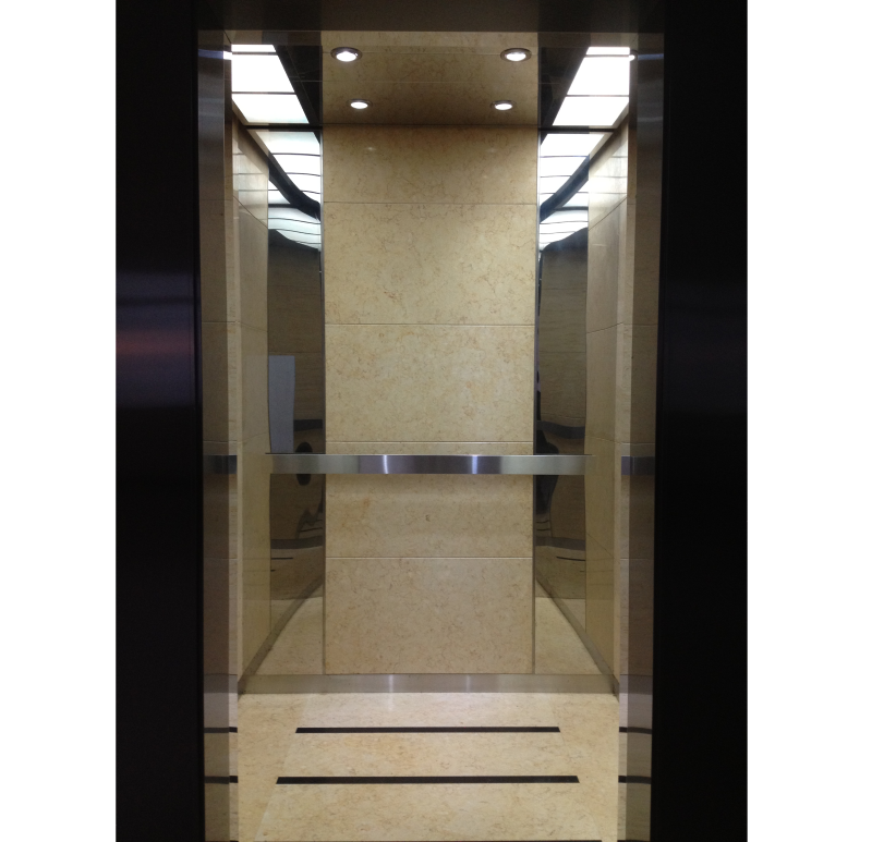 High Quality Luxury Machine Roomless Passenger Lift Modern Design with AC Drive for Hotel and Residential Use CE Certified