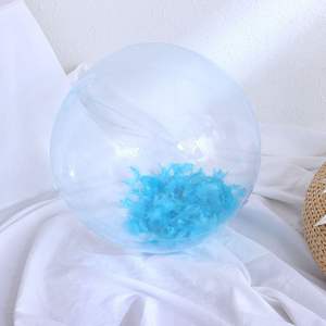 Pelota de playa inflable transparente de plumas, pelota de PVC, juguete acuático para interiores y exteriores, unisex, de 8 a 13 años - Product Image 2