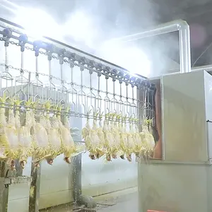 Машина для забоя курицы, 500-3000 баррелей в час, мусульманская резня птиц