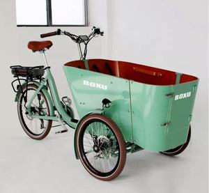 Swing Balance Marchandises Enfants Transporteur Tricycle Famille E-cargo 3 Roues Livraison Électrique Cargo Trike E Bike Vélo avec Boîte à Lumière - Product Image 2