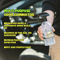Autopolan Désodorisant de voiture Différentes odeurs personnalisées Parfum Désodorisant Spray pour voiture Maison Hôtel Toilette Éliminateur d'odeurs