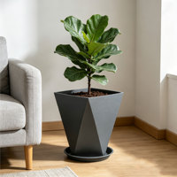 Pot de fleurs carré en plastique durable avec trou de drainage auto-arrosant, capacité de 36 L, pour plantes d'extérieur, plantes d'intérieur, design minimaliste