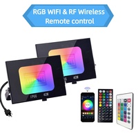 Projecteur LED extérieur intelligent RGB 60W 80W 100W IP66 étanche, contrôle IR RF WiFi par application, éclairage paysager de jardin à changement de couleur