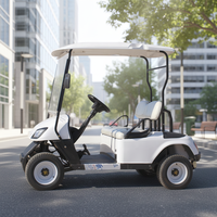 Mini voiturette de golf électrique simple 48V, buggy club 2 places directement vendu par le fabricant de Chine