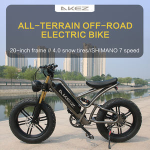 Vélo électrique tout-terrain AKEZ 20 pouces 48V 750W avec batterie au lithium, <span class=keywords><strong>moteur</strong></span> sans balais, pneus larges, suspension souple, assistance au pédalage, 13Ah, pour adulte - Product Image 5