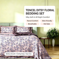 Parure de lit en Lyocell 2026 personnalisée, ensemble de housse de couette, vente en gros de draps de lit