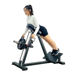 Nouvel équipement <span class=keywords><strong>de</strong></span> fitness durable en forme <span class=keywords><strong>de</strong></span> T <span class=keywords><strong>pour</strong></span> la remise en forme à domicile, machine d'entraînement du dos - Product Image 1