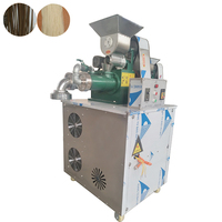 Machine à pétrir la pâte sous vide, machine à nouilles de riz, machine à extruder les vermicelles