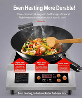 Cuisinière à induction portable à brûleur unique en acier inoxydable 3500W à chauffage rapide avec fonction Hotpot pour usage domestique, commercial et hôtelier