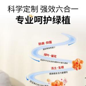 Bastoncino di Primo Soccorso per Piante Promuove Foglie Verdi e Fioritura Previene <span class=keywords><strong>Malattie</strong></span> e Inibisce i Batteri Rilascio Delicato Residui Minimi - Product Image 4