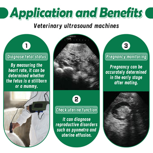 Veterinary B Ultrasound 5.7" <strong>Portable</strong> <strong>Scanning</strong> Medical Equipment Waterproof Probe for Animal Health Diagnosis Cows Pigs Sheep - Product Image 6