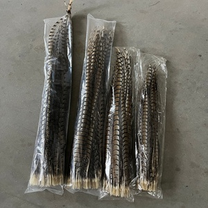 Plumas Naturales Marrones de Cola Larga, <span class=keywords><strong>Pluma</strong></span> Artificial de Faisán para Fiestas, Carnaval, Decoración del Hogar, Bodas, Jarrones, Manualidades, Disfraces - Product Image 3
