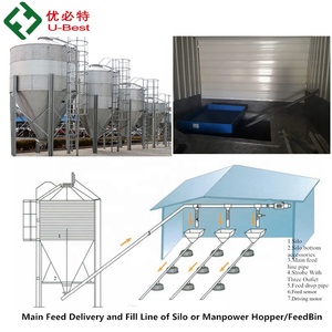 Ligne d'alimentation pour volaille d'élevage d'animaux entièrement automatique, hangar à poulets/équipement domestique pour volaille/<span class=keywords><strong>race</strong></span>/oiseau de <span class=keywords><strong>poulet</strong></span> - Product Image 3
