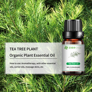 Huile Essentielle d'<span class=keywords><strong>Arbre</strong></span> à Thé – Prix de Gros pour Marque Privée – Qualité Supérieure 100% Pure – Extrait Végétal – Huile d'<span class=keywords><strong>Arbre</strong></span> à Thé OEM/ODM - Product Image 3