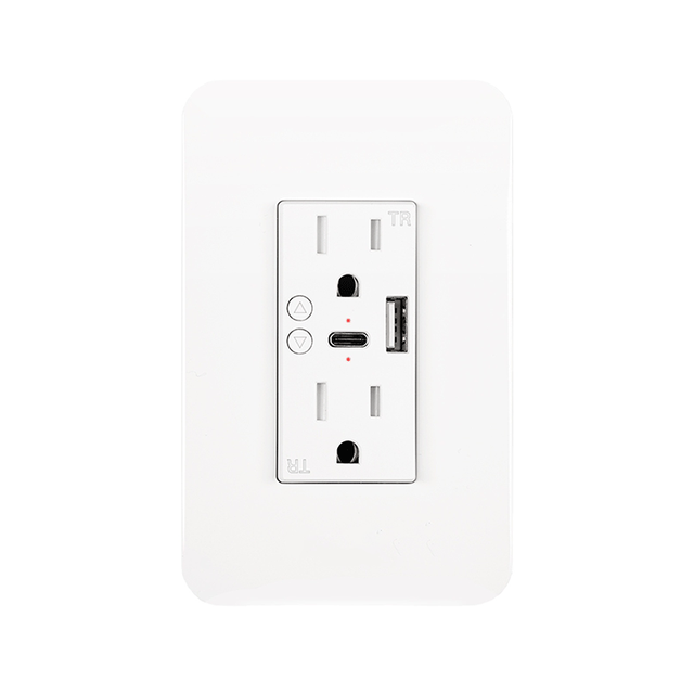 Tuya WiFi Smart Wall Socket Plastic 2 Outlets US Standard USB Charge Overload Protection 15A AC110V Alexa Google Voice Control